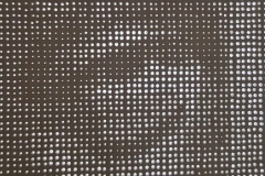 20241230_143205_ok-525x700